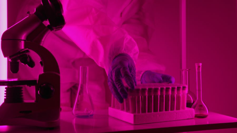 Une paillasse de laboratoire baignee d'une lumiere rose vif, un microscope a gauche, une main gantee saisissant un portoir de tubes a essai, deux fioles coniques